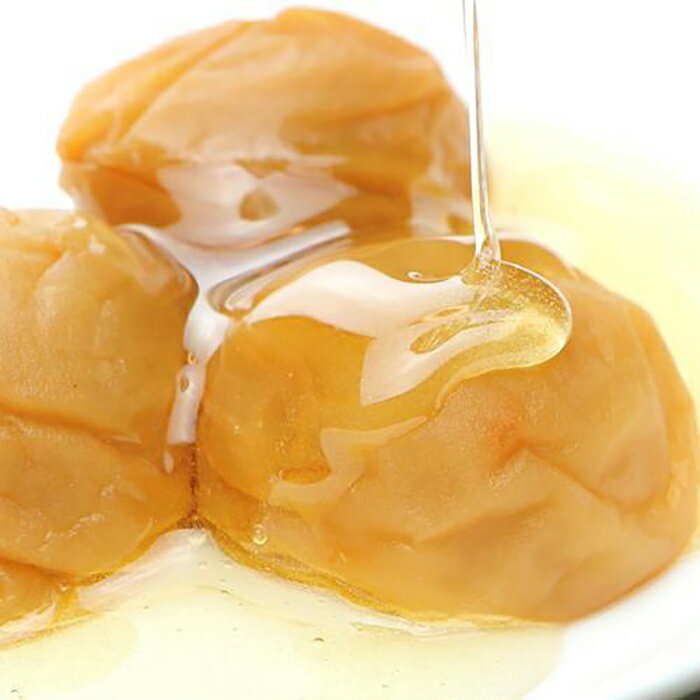 【ふるさと納税】紀州南高梅　有田みかん蜂蜜梅　500g | 和歌山県 九度山町 和歌山 支援品 返礼品 楽天ふるさと 納税 お取り寄せ 取り寄せ グルメ 梅干し はちみつ 梅干 はちみつ梅 ハチミツ梅 はちみつ梅干し ハチミツ梅干し 蜂蜜梅干し 梅 うめ 紀州梅