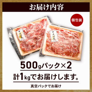 せんば牛切り落とし1kg 牛肉切り落とし 牛肉切り落とし 牛肉切り落とし 牛肉切り落とし 牛肉切り落とし 牛肉切り落とし