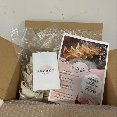 ふるさと納税 松山市 愛媛の鯛ぎょうざ(30個) |  | 01