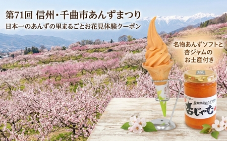 日本一のあんずの里まるごとお花見体験クーポン（名物杏ソフトと杏ジャムのお土産付き）｜長野県 千曲市