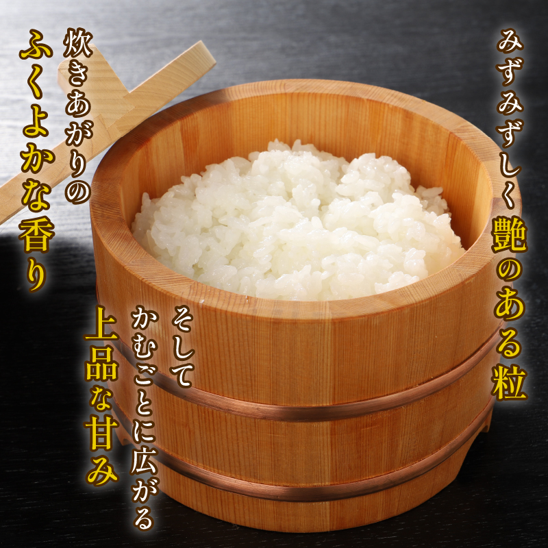 先行予約 コシヒカリ 無洗米 5kg 令和7年産 特別栽培米 こしひかり 米 お米 こめ 新潟米 新潟県産 新潟産 新潟 新潟県 新発田産 新発田 新発田市 斗伸 toushin001_02
