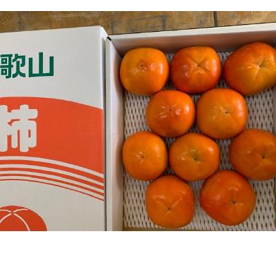 ふるさと納税 有田川町 富有柿　赤秀品　3Lサイズ(9〜10個)　　　　　　　【マルシ農園】 |  | 01
