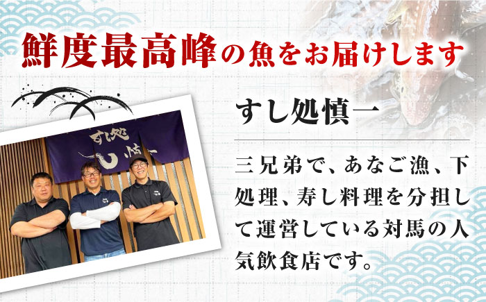 対馬産 天然 西沖あなごの刺身 （2～3人前）《対馬市》【すし処慎一】 国産 肉厚 穴子 アナゴ 新鮮 鮮魚 冷凍 [WCO001]