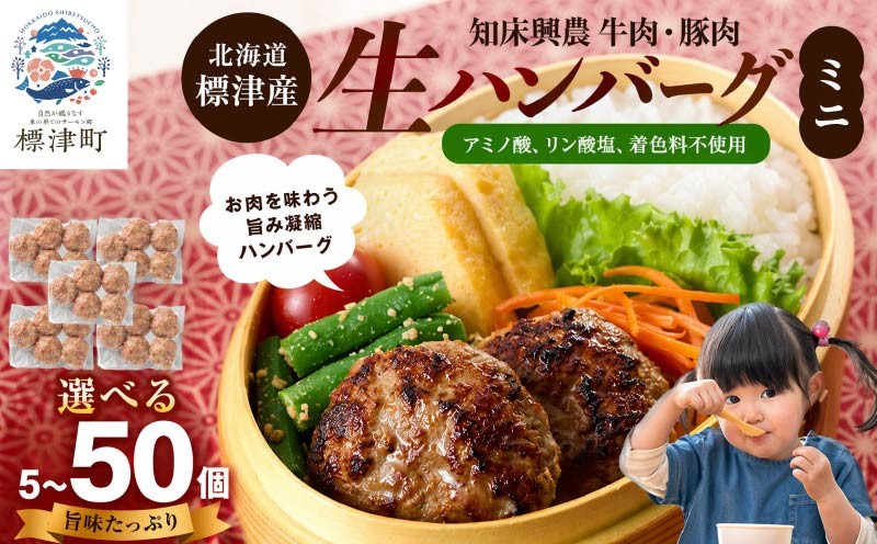 
                  北海道産 生ハンバーグ ミニ 選べる 5~50個 セット ( 5個 × 1~10パック ) 冷凍 手作り ハンバーグ 国産 保存料不使用 牛肉 豚肉 ギフト お弁当 ハンバーグ 安心 アミノ酸不使用 ハンバーグ リン酸塩不使用 着色料不使用 牛 豚 肉 ハンバーグ 肉加工品 加工品 国産肉 国産豚 国産牛 はんばーぐ ハンバーグ 冷凍食品 ロコモコ ハンバーグ 小さめ 便利 パック 北海道 標津町
                