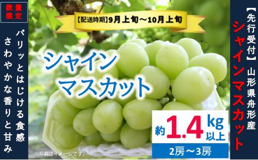 シャインマスカット約1.4kg以上（2～3房） 数量限定　2026年先行予約