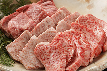 飛騨牛希少部位焼肉セット 計450g（トモサンカク 150g・ミスジ 150g・イチボ 150g）最高級 国産 牛肉 ブランド牛 和牛 【22-28】【冷凍】