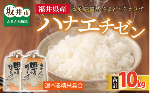 【先行予約】【令和8年産・新米】 ハナエチゼン10kg(5kg×2袋) ～本原農園からまごころコメて～（玄米）【2026年9月上旬以降順次発送予定】 [B-8946_02]