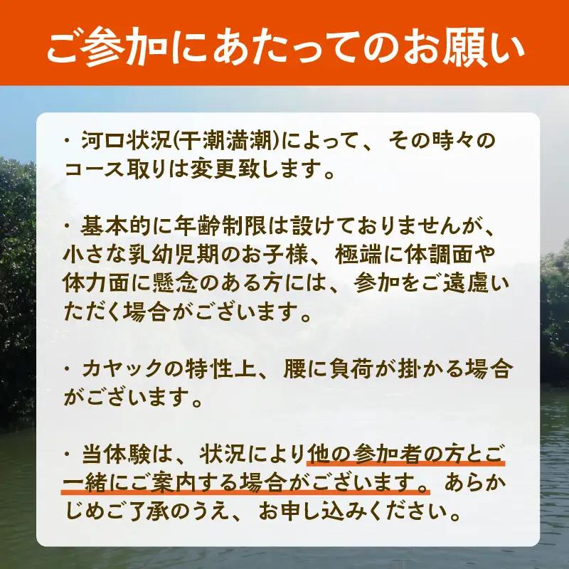 (2名様) マングローブカヤック体験【BLUE PEACE種子島】