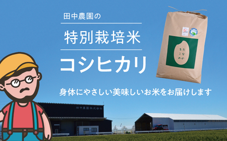 【令和5年産】乳酸菌入りの土壌で育てた 福井県 坂井町産 特別栽培米コシヒカリ 4kg (2㎏×2袋) (白米) [A-4812_01]