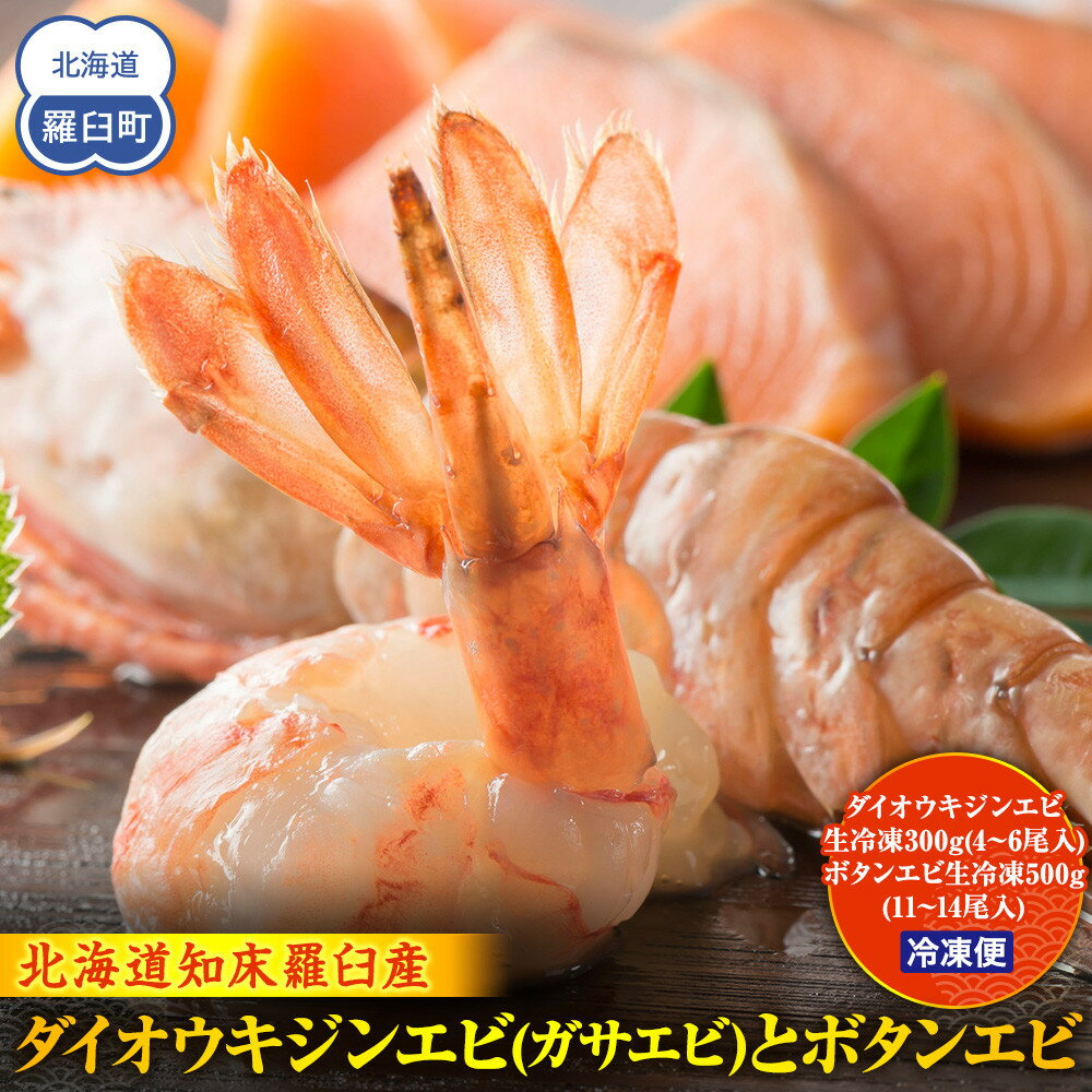 【ふるさと納税】ダイオウキジンエビ(ガサエビ)とボタンエビのセット えび エビ 海老 食べ比べ 魚介 魚介類 北海道 羅臼町 海産物 冷凍 刺身 フライ 生産者 支援 応援