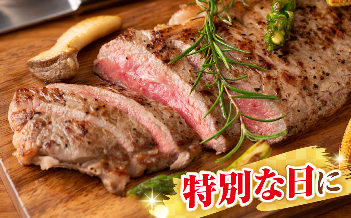 【全2回定期便】【A4〜A5ランク】長崎和牛 サーロインステーキ 250g（250g×1枚）《壱岐市》【株式会社MEAT PLUS】 肉 牛肉 黒毛和牛 サーロイン ステーキ ご褒美 ギフト 贈答用 