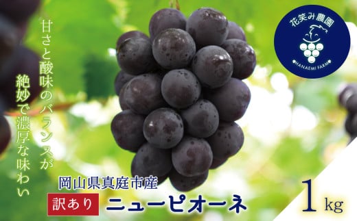【2025年先行予約】 ぶどう 訳あり 花笑み農園の ニューピオーネ 1kg hana33. / ぶどう ブドウ 葡萄 岡山 ピオーネ 先行予約 フルーツ 果物 真庭市