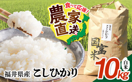 【先行予約/9月中旬ごろから順次発送】 【令和7年度産】福井県産 こしひかり 白米 10kg / 米 白米 精米 小浜市 / お米のきたろう [BFBW001] 