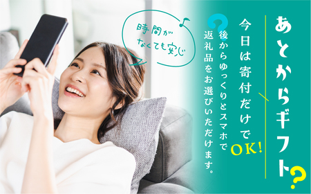 スマホでゆっくり返礼品を選べる 飛騨市 ふるさと納税 あとからギフト あとから選べる セレクト 定期便 カタログ 飛騨牛 日本酒 チーズ 牛肉 スイーツ 野菜 日本酒 米 お楽しみ 発送時期が選べる 
