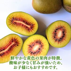  キウイ 1.6kg フルーツ 果物 スイーツ レインボーレッド キウイ きうい レインボー レッド キウイ 産地直送 くだもの デザート ギフト プレゼント 贈答 国産 落合農園 静岡県 牧之原市