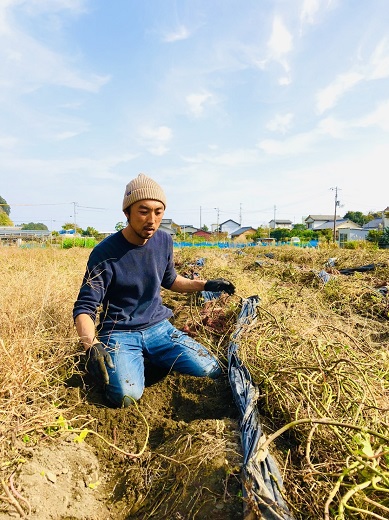 先行予約 12月上旬～ サツマイモ（紅はるか）５kg 栽培期間中 農薬化学肥料不使用（洗い）【R00163】