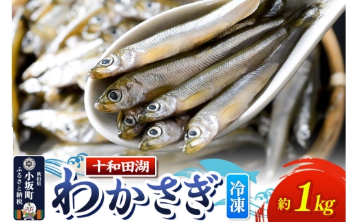 【冷凍】十和田湖わかさぎ 約1kg（約500g×2パック） [わかさぎ 公魚 魚 鮮魚 フライ 天ぷら 美味 十和田湖 国産 冷凍 食卓 ご飯のお供 秋田 小坂町]