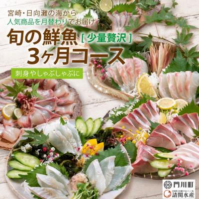 ふるさと納税 門川町 【毎月定期便】旬の鮮魚3ヶ月コース(少量贅沢)(門川町)全3回