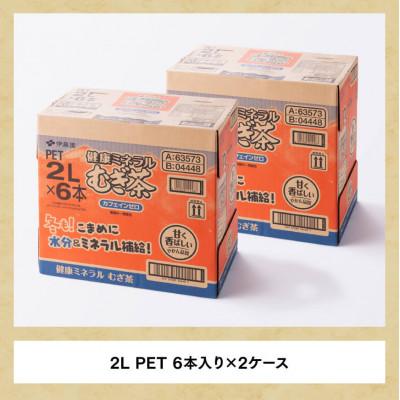ふるさと納税 川南町 【毎月定期便】健康ミネラル むぎ茶 カフェインゼロ 2L×6本×2ケース(川南町)全12回 |  | 03