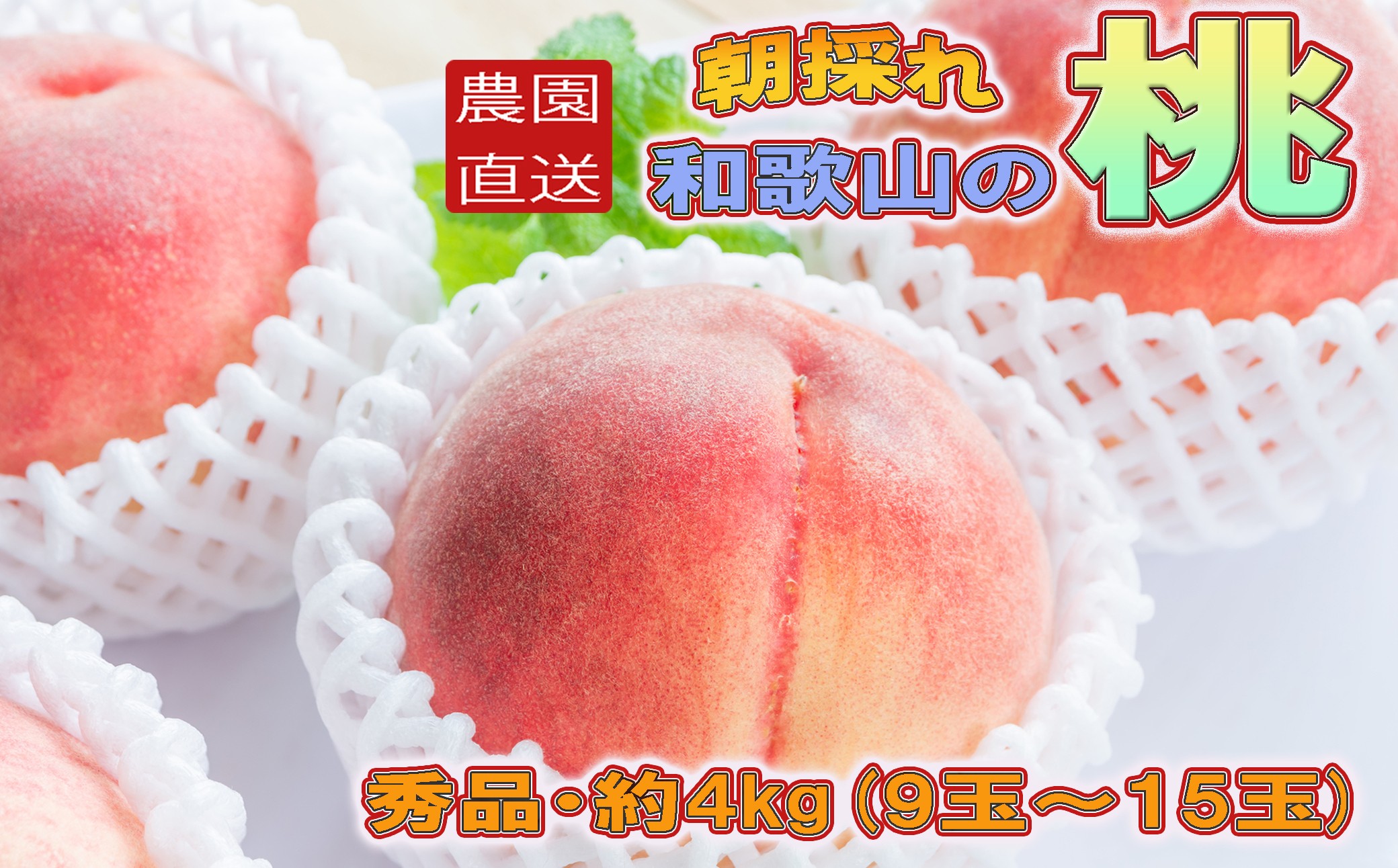 
                  【農園直送】朝採れ和歌山の桃　約4kg・秀品【2026年6月下旬～2026年8月上旬頃に順次発送予定】【TM168】
                