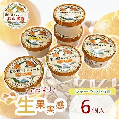 【ふるさと納税】果樹園のジェラート 夏にさっぱりシャーベット6個セット 100ml×6個 冷凍 ギフト アイスクリーム シャーベット□ | スイーツ ひんやりスイーツ フルーツジェラート みかん オレンジ レモン いちご