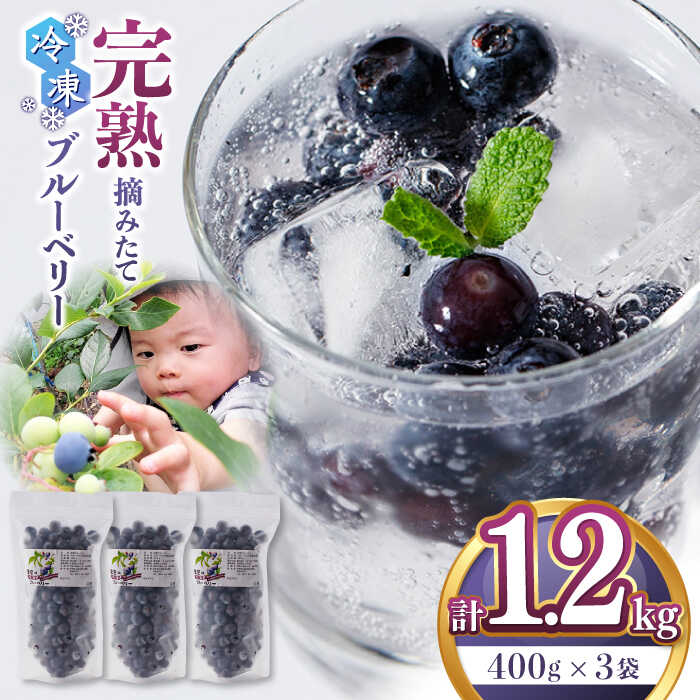 【ふるさと納税】【8月中旬より順次発送】【先行予約】【発送回数を選べる】冷凍ブルーベリー 計1.2kg ( 400g × 3パック ) 熊本県産 山都町産 ブルーベリー チャック付き袋 使いたい分だけ フルーツ スムージー 果物 くだもの 小分け 国産 定期便【清和の恵み工房】[YAA003]