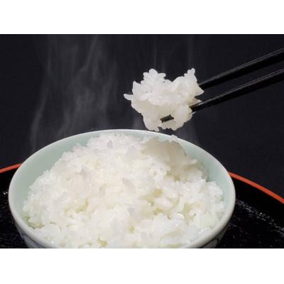 ふるさと納税 新庄市 米の匠みのりガーデン/金賞受賞農家の【特上 コシヒカリ】5kg×2袋　計10kg |  | 01