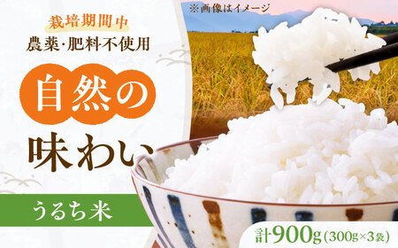 うるち米 900g（300g×3） 大阪府高槻市/高槻ナチュラルファーム[AOEY001]