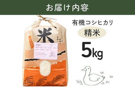 【令和7年産】有機 コシヒカリ 精米 5kg 有機栽培 有機米 特別栽培米 合鴨農法 こしひかり お米 白米 米 おこめ ブランド米 こしひかり 5キロ 国産 単一原料米 コメ こめ ご飯 銘柄米 茨