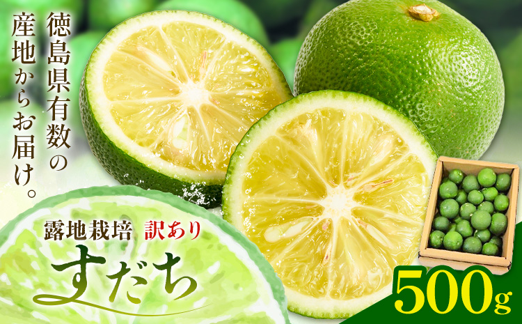 \生産量日本一徳島県/ 訳ありすだち 露地栽培 500g 一般財団法人さなごうち 《9月中旬-11月上旬頃に出荷予定(土日祝除く)》 徳島 すだち スダチ 露地 魚 豆腐 冷奴 焼き魚 天ぷら 刺身 徳島県 佐那河内村 (F)