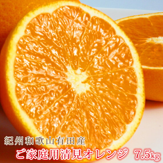 【ふるさと納税】［ご家庭用訳アリ］紀州有田産清見オレンジ　7.5kg［2026年3月下旬以降発送］［先行予約］［UT54］ | 和歌山 那智勝浦町 オレンジ 柑橘 かんきつ 果物 くだもの フルーツ 果実 旬の果物 旬のフルーツ お取り寄せ 特産品 清見オレンジ