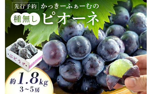 【先行予約】種無しピオーネ 約1.8kg 3～5房《8月下旬頃から発送》 果物 ピオーネ ぶどう 先行予約 【183_1884】