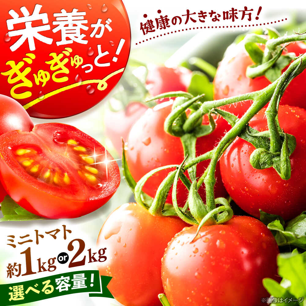 【ふるさと納税】ミニトマト 計1kg・計2kg（小分けパック）＜ファゼンダ坂本＞[CGP001] トマト サラダ さらだ フレッシュトマト 便利 小分け