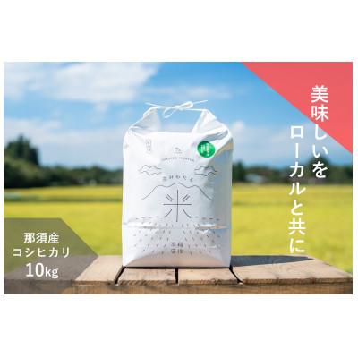 ふるさと納税 那須町 那須産 コシヒカリ10kg ≪白米≫〔C-62〕