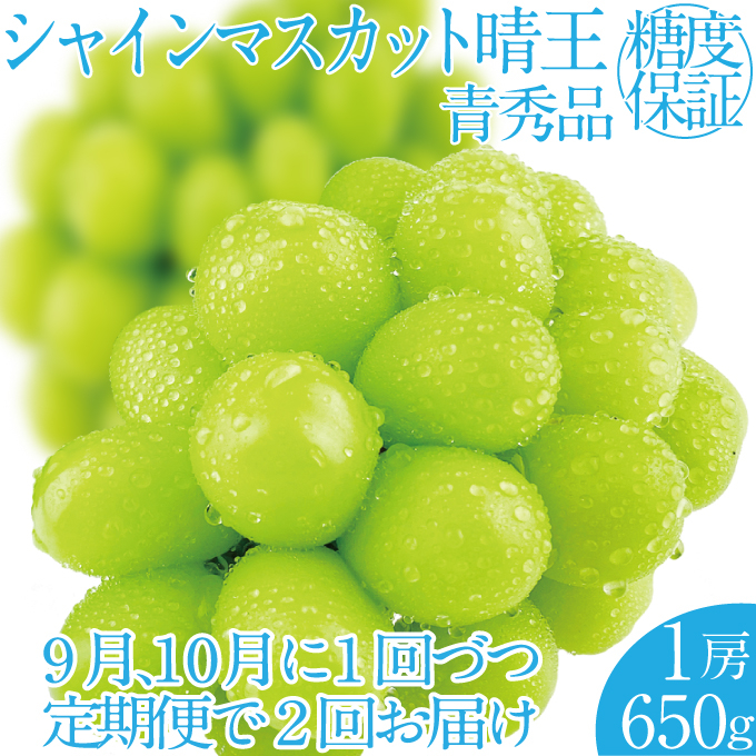 
                  2026年 先行予約【2回定期便】シャインマスカット晴王1房 約650g 岡山県産 種無し 皮ごと食べる みずみずしい 甘い フレッシュ 瀬戸内 晴れの国 おかやま 果物大国 ハレノフルーツ9月10月お届け
                