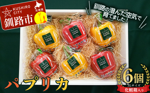 【5月より順次発送】 パプリカ 3Lサイズ×6個 野菜 サラダ 北海道野菜 生野菜 旬 冷蔵 北海道 ピーマン 甘い 送料無料 贈答 ギフト F4F-2276