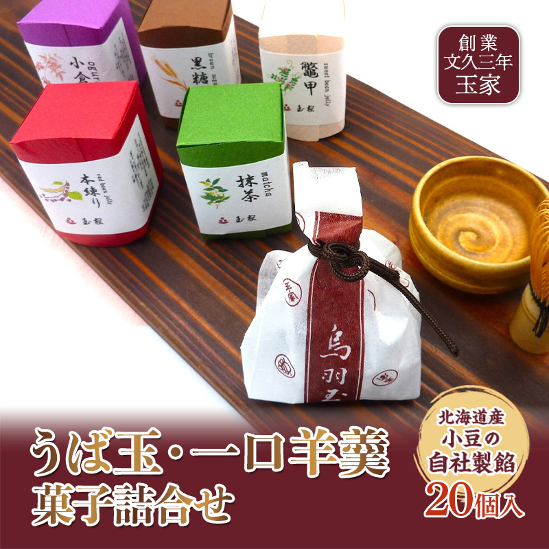 創業文久三年 玉家 うば玉、一口羊羹詰合せ F21R-007