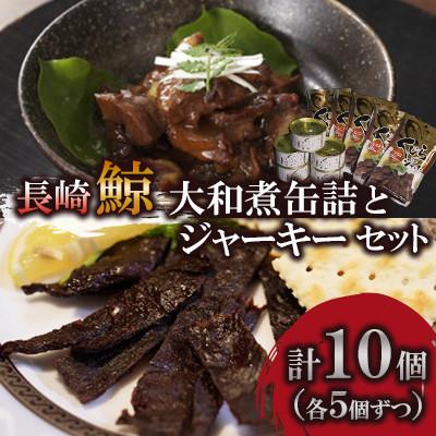 ふるさと納税 川棚町 大和煮缶詰とジャーキーセット(各5個)(川棚町)