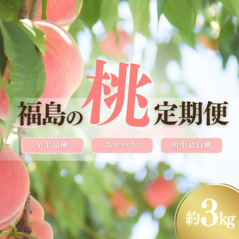 【ふるさと納税】No.2222福島の桃3種定期便 各3kg【2025年発送】