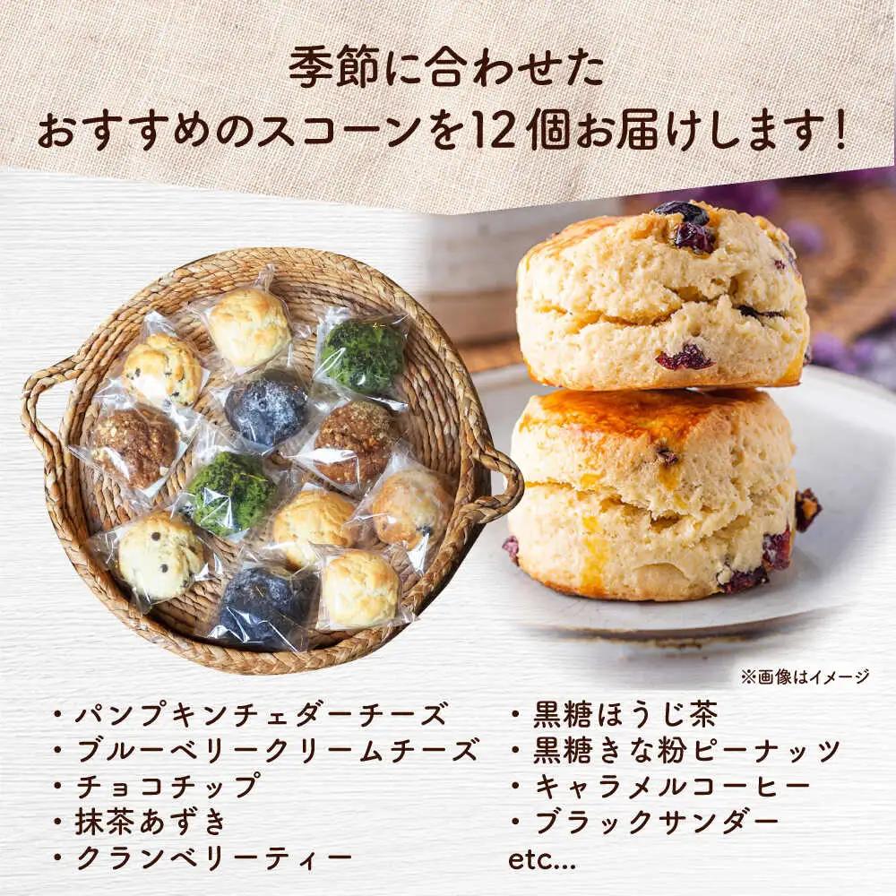 【全3回定期便】厳選おすすめ スコーン 12個セット  BCAE011 スイーツ