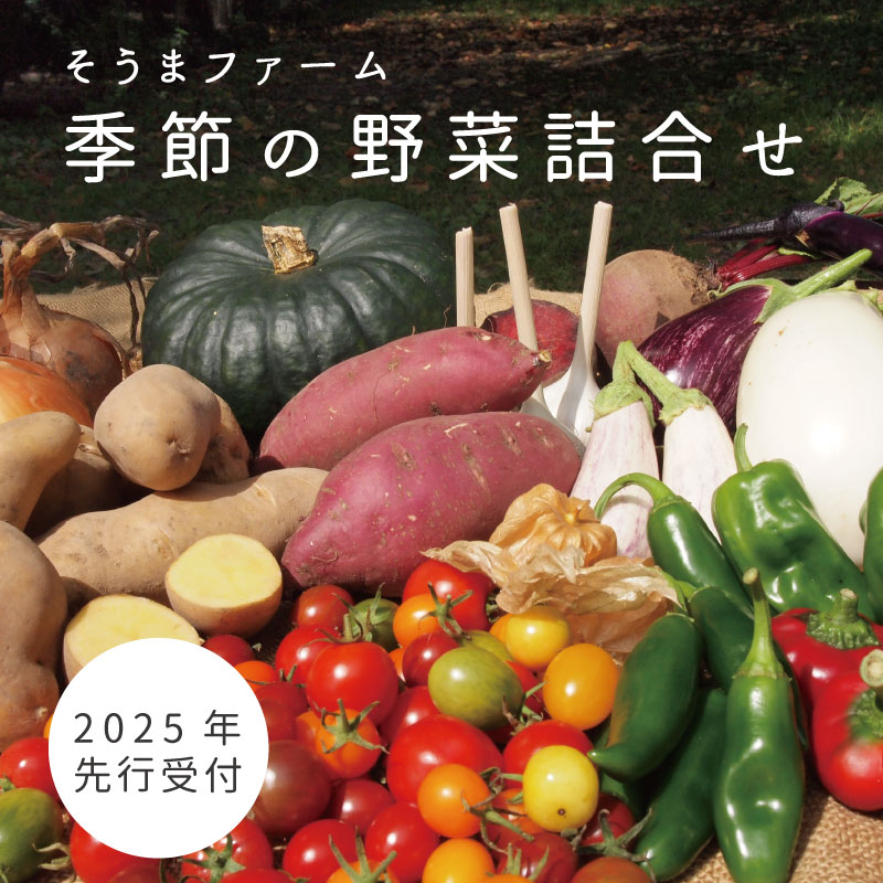 【ふるさと納税】 2025年産 そうまファーム 野菜セット 無農薬 無化学肥料 野菜詰め合わせ ぷちぷよ 白ナス とうもろこし にんにく ブルーベリー 玉ねぎ じゃがいも ビーツ ゴーヤ かぼちゃ 採れたて 新鮮 旬 相馬ファーム 数量限定 送料無料 北海道 当麻町 お取り寄せ