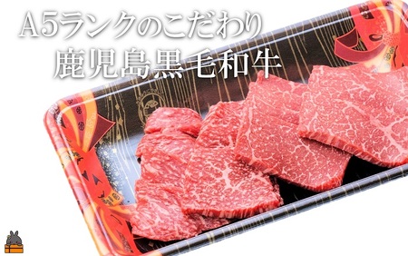 A5ランク THE鹿児島黒毛和牛赤身焼肉400g（200g×2P） ( 鹿児島黒毛和牛 A5 牛肉 ビーフ 贅沢 極上 こだわり プレミアム 徳之島 鹿児島 美味しい 赤身 脂身 カミチク ステーキ 