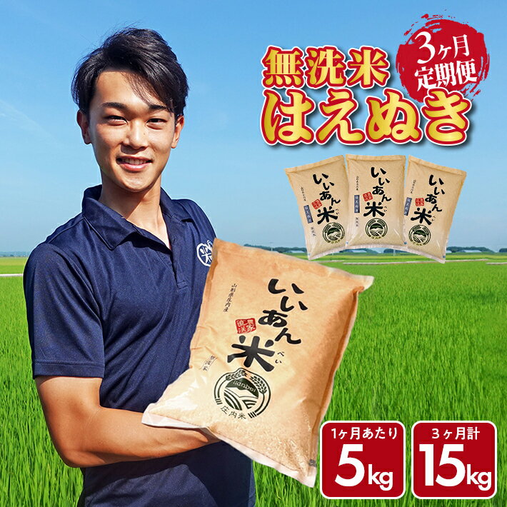 【ふるさと納税】≪新米予約≫ ≪3ヶ月定期便≫ 無洗米 はえぬき 5kg×3ヶ月連続 計15kg 山形県庄内産 ご希望期間の毎月中旬頃にお届け 米 お米 精米 白米 定期便