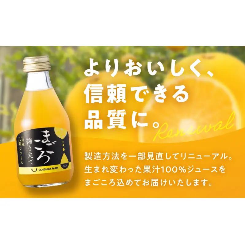 ZE6426_【まごころ搾りたて】八朔ジュース100％ 180ml×6本