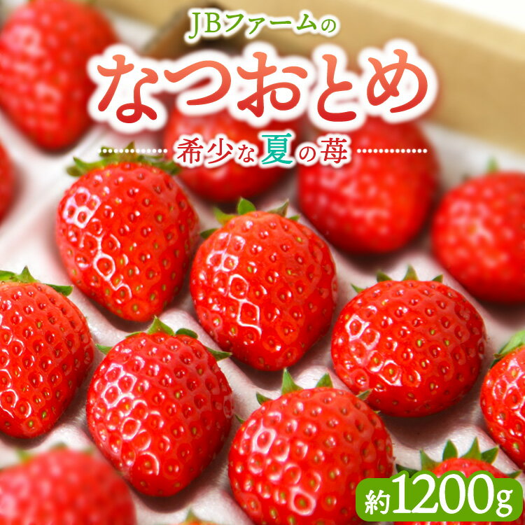 【ふるさと納税】【先行予約】【産地直送】JBファームのなつおとめ（約1200g） ｜ いちご イチゴ 苺 赤い 甘い 酸味 ジューシー 高級 評判 新鮮 フルーツ 果物 スイーツ ジャム アレンジ 洋菓子 加工品 好評 人気 生産量 日本一 栃木県産 夏秋 希少 食べ比べ 贈答品 日持ち