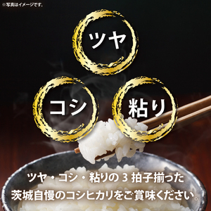 令和6年産無洗米茨城コシヒカリ5kg×2【お米 こめ 米 こしひかり 無洗米 茨城県 茨城県産】（LL-2）