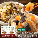 【ふるさと納税】炊き込みご飯の素 混ぜご飯の素セット 各250g×1個 有限会社 やまえ堂 《30日以内に出荷予定(土日祝除く)》山の幸 たけのこ 竹の子 筍 しいたけ きくらげ わらび 炊き込みご飯 混ぜ込みご飯 送料無料