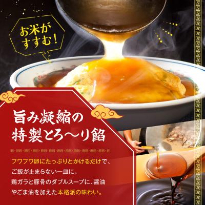 ふるさと納税 京都市 【マルシン飯店】京都・超行列店の天津飯の餡(400g×2袋)|京都 本格中華 |  | 02