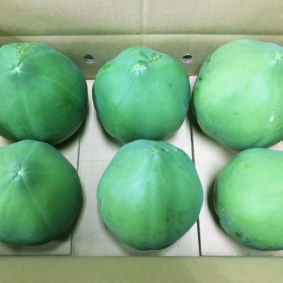 ふるさと納税 西都市 宮崎県西都市産 青パパイヤ 約5kg(4〜7玉)【先行受付】[1926] |  | 03