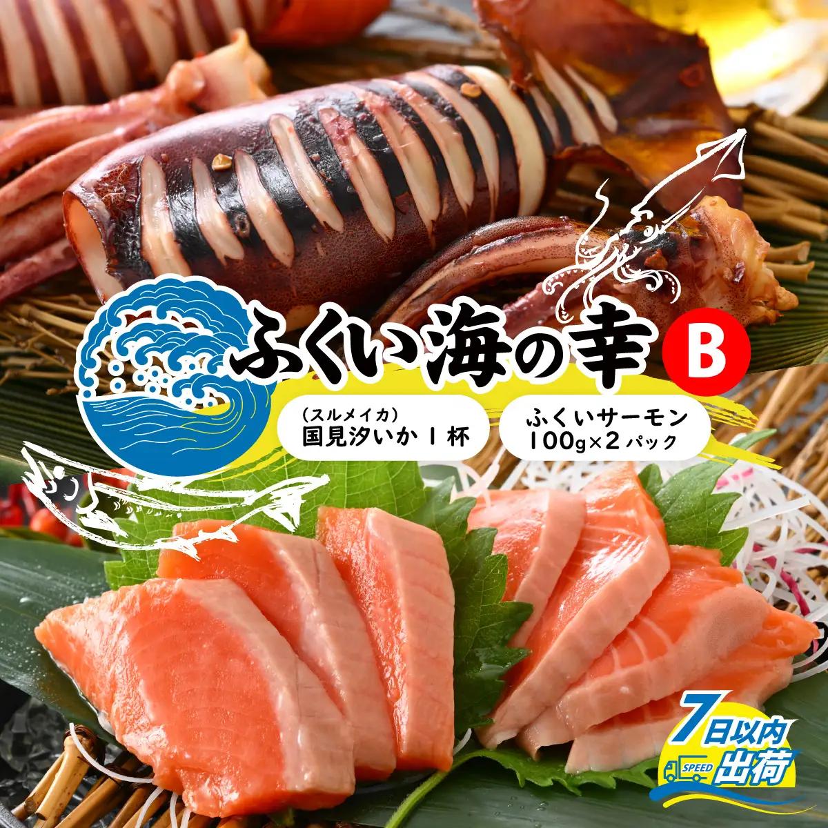 ふくい海の幸2点セットB 【ふくいサーモン するめ スルメ いか イカ 汐いか 冷凍】 [A-004011]